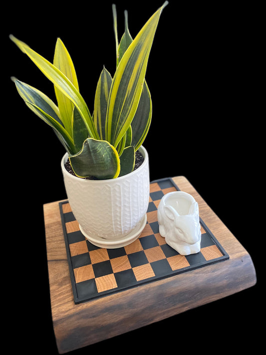 Black Walnut Chess Board